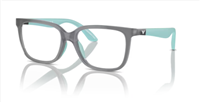 Montatura vista Emporio Armani Donna 0EK3006  49  6134 - 0EK3006  49  6134